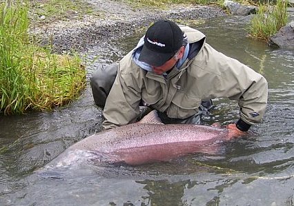950012929208_0_BG (2).jpg 950012929208_0_BG (2).jpg